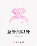 意外的以外封面