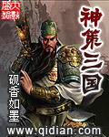 神策三国封面