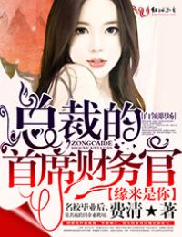 缘来是你，总裁的首席财务官封面