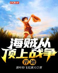海贼从顶上战争开始封面
