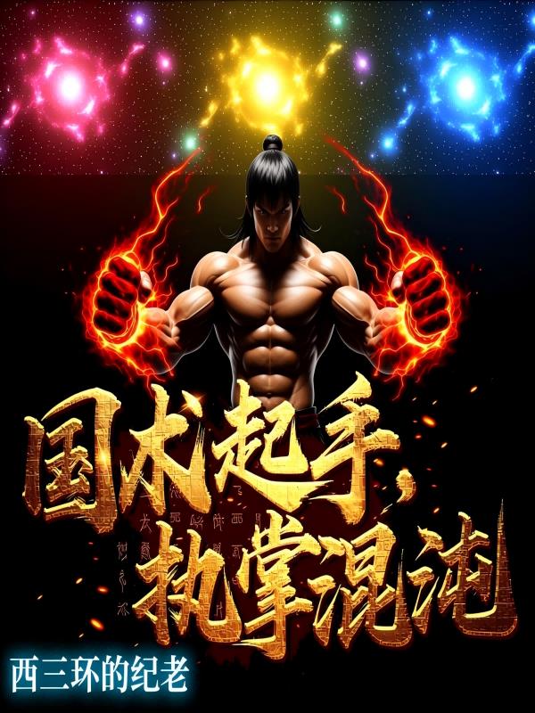 国术起手，执掌混沌封面