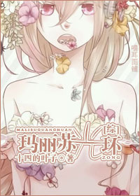 [综]玛丽苏光环封面