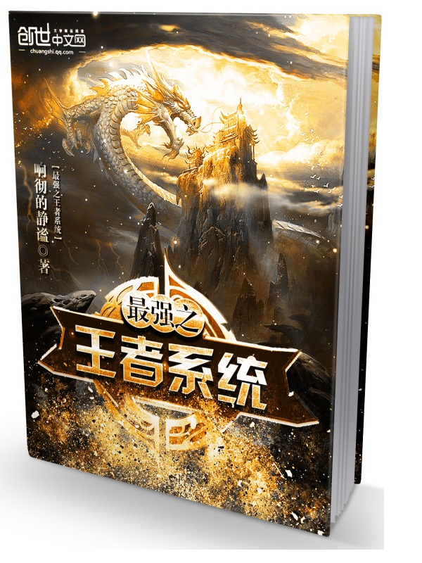 最强之王者系统封面