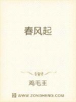 春风起封面
