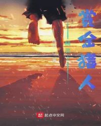 精灵之赏金猎人封面