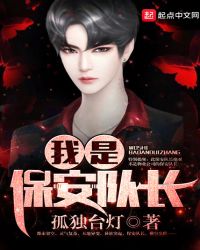 我是保安队长封面