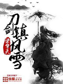 刀剑镇风雪封面