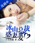 冰山总裁惑妻爱封面