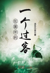位面中的一个过客封面