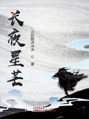 长夜星芒封面