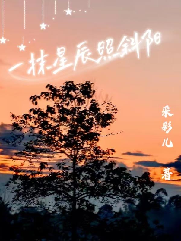 一抹星辰照斜阳封面