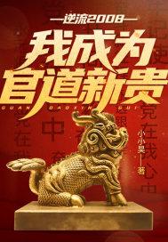 逆流2008，我成为官道新贵！封面