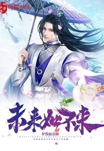 未来如不来封面