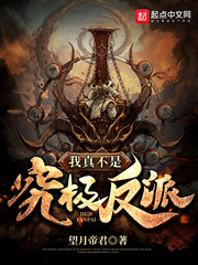 我真不是究极反派封面