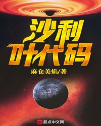 沙利叶代码封面