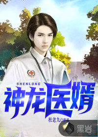 神龙医婿封面