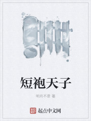 短袍天子封面