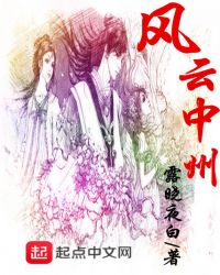 风云中州封面