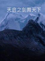 剑舞风尘起封面