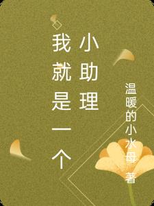 我就是一个小助理封面