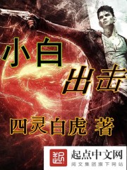 小白出击封面