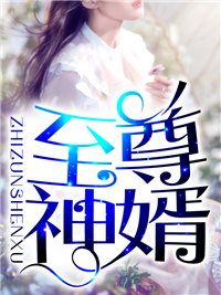 至尊神婿封面