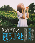 你在灯火阑珊处封面