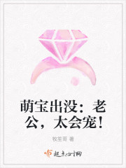 萌宝出没：老公，太会宠！封面