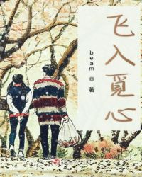 飞入觅心封面