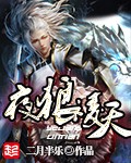 夜狼凌天封面