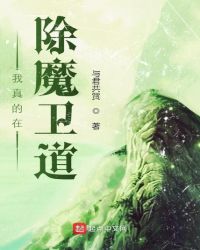 我真的在除魔卫道封面