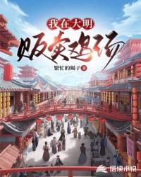我在大明贩卖鸡汤封面
