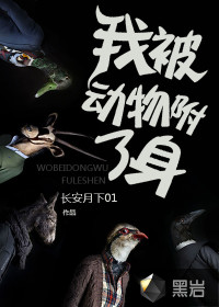 我被动物附了身封面