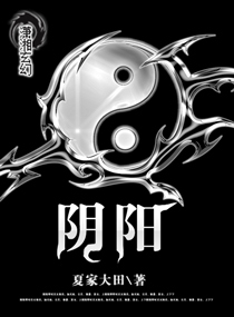 阴阳封面