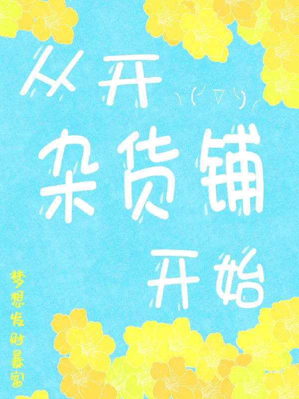 从开杂货铺开始封面