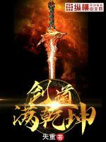 剑道满乾坤封面