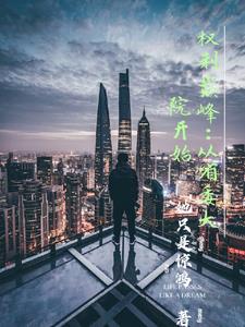 至高权力：从省委大院开始封面