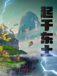 起于东土封面