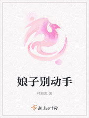 娘子别动手封面