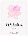 阳光与寒风封面