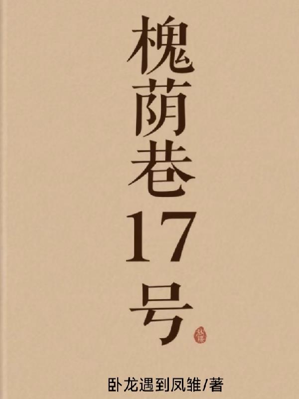 槐荫巷17号封面