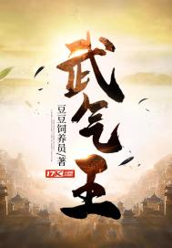 武气王封面