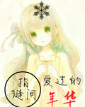 指缝间爱过的年华封面