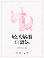 轻风紫墨画离姝封面