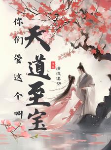 你们管这个叫天道至宝封面