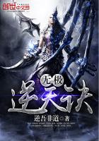 无极逆天诀封面