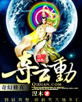 夺云动封面