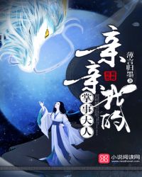 亲亲我的掌事大人封面