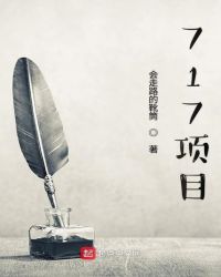 717项目封面