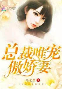 总裁唯宠傲娇妻封面